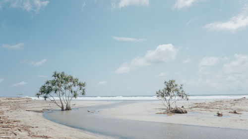 Scenic view of beach against sky