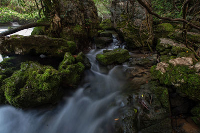 Stream flowing through rocks in forest