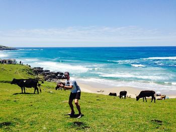 Man showing thumbs up while standing on grass with cows against sea