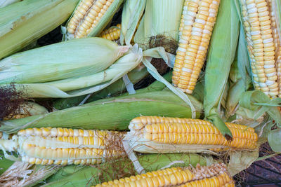 Corn for sale in the open-air market place