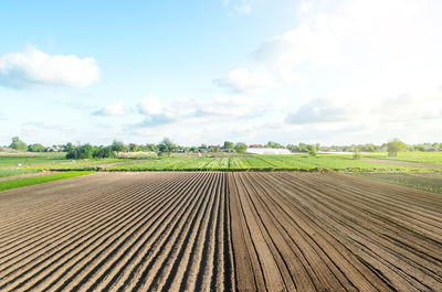 Farm field is half prepared for planting. marking the field in rows. agricultural 