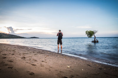 Rear view of man standing on beach