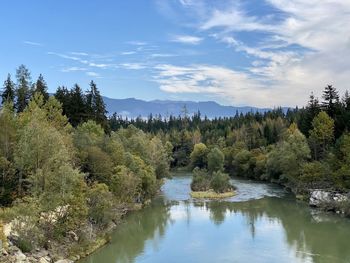 Scenic view of river amidst trees in forest against sky