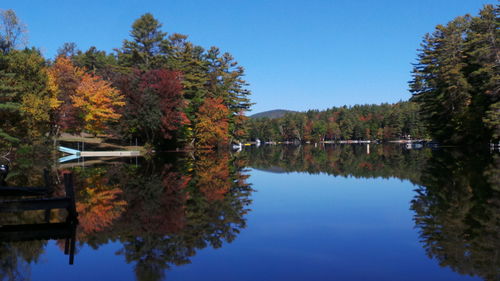 Reflection of trees in calm lake against clear blue sky