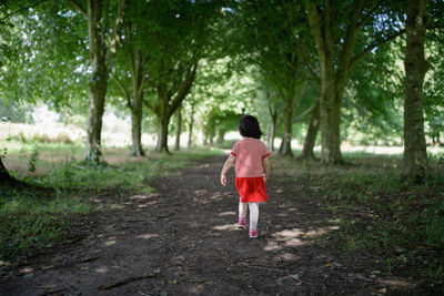 Rear view of girl walking in forest