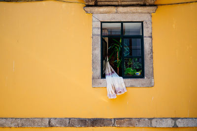 Close-up of yellow window