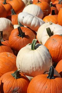 Full frame shot of pumpkins for sale at market