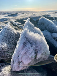 Close-up of snow covered land