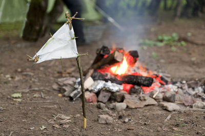 Bonfire on wooden log