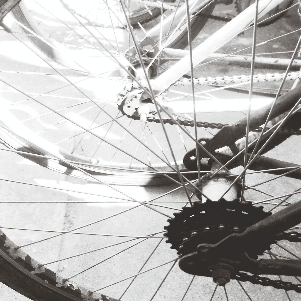 transportation, railing, mode of transport, bicycle, metal, high angle view, sunlight, wheel, land vehicle, part of, no people, outdoors, day, parking, shadow, metallic, built structure, travel, water, bridge - man made structure