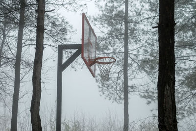 Tree Plant Fog