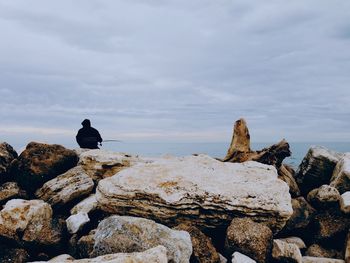 Rear view of rock on beach against sky