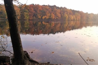 Scenic view of lake in forest during autumn