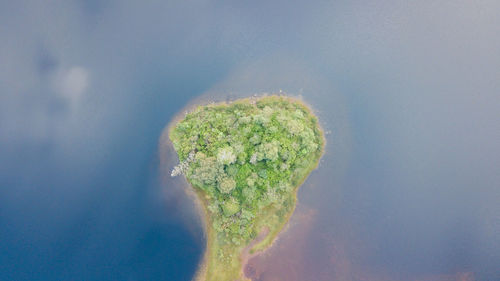 Aerial view of land by sea