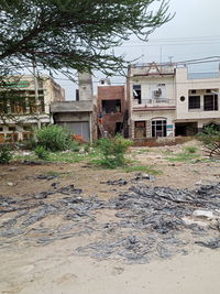 Houses and trees on field against buildings