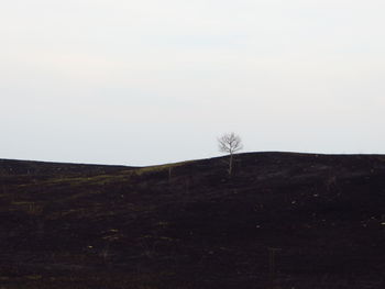 Scenic view of landscape against clear sky