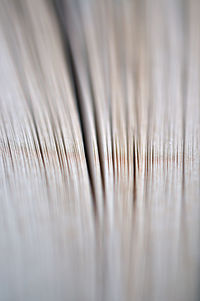 Close-up of book pages