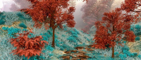 Autumn trees in forest