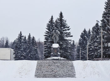 Pine trees on snow covered mountain against sky