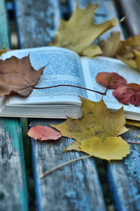 Close-up of autumn leaves on table