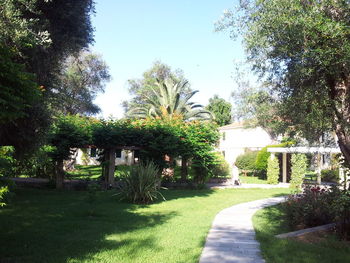 View of footpath along trees