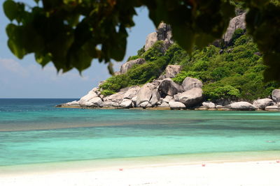 Beachscape in koh nang yuan. koh tao. surat thani province. thailand