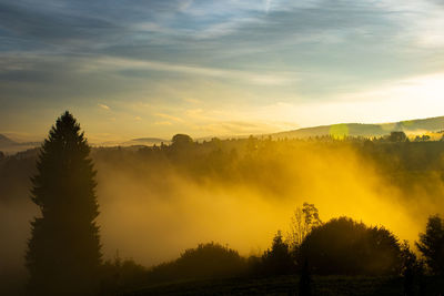 Silhouette trees on landscape against sky during sunset