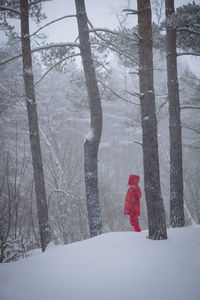 Bare tree on snow covered landscape