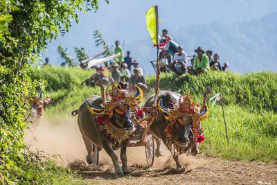 View of people riding horses