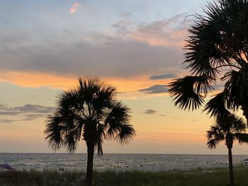 Silhouette palm tree by sea against sky during sunset