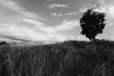 Scenic view of land against sky