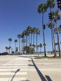 Palm trees on road against clear blue sky