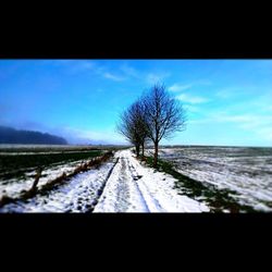 Road passing through field