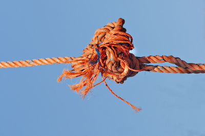 Low angle view of rope tied up against blue sky