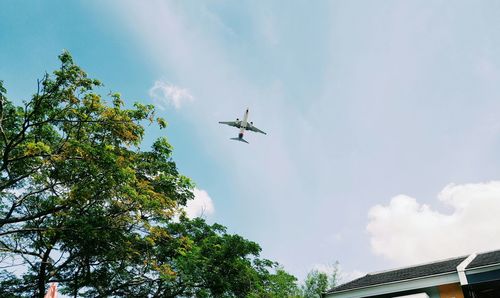 Low angle view of airplane flying against sky