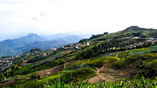 Scenic view of agricultural landscape against sky