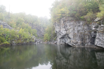 Reflection of trees in calm lake