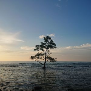 Scenic view of sea against sky at sunset