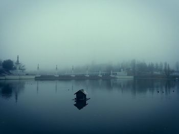 Swan in lake against sky