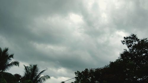 Low angle view of trees against storm clouds