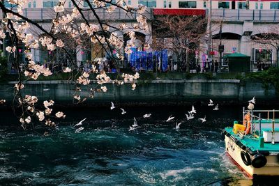 High angle view of birds on canal