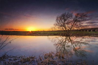 Reflection of trees in calm lake