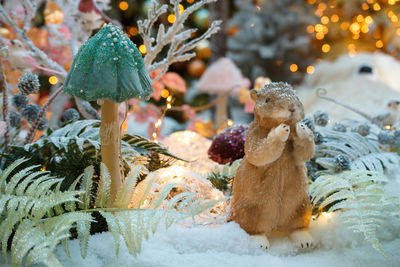 Close-up of stuffed toy during winter