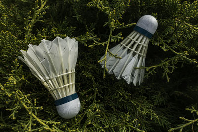 Badminton  shuttlecocks 