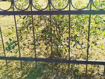 Close-up of metal fence on field