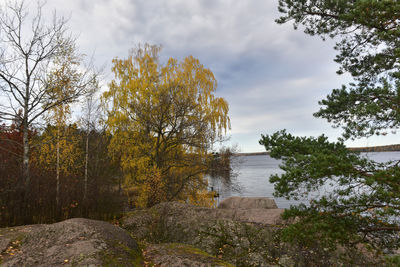 Scenic view of river amidst trees against sky