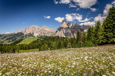 Dolomiti alps in alta badia landscape amd peaks view, trentino alto adige region of italy