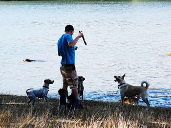 Rear view of men with dogs on shore