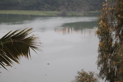 Scenic view of lake