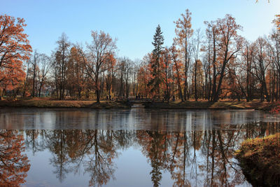 Reflection of trees in lake during autumn